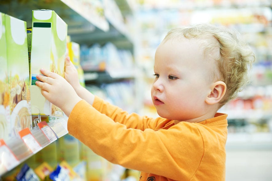 Baby food production choosing an industrial mixer Baby food production choosing an industrial mixer