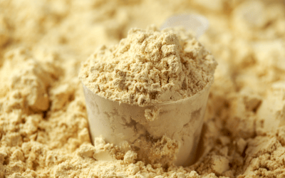 protein powder manufacturing